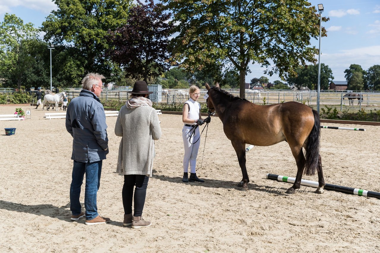 Bild 51 - Pony Akademie Turnier